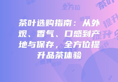 茶叶选购指南：从外观、香气、口感到产地与保存，全方位提升品茶体验