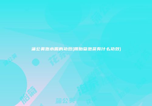 蒲公英泡水喝的功效(用胎菊泡茶有什么功效)