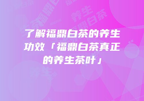 了解福鼎白茶的养生功效「福鼎白茶真正的养生茶叶」