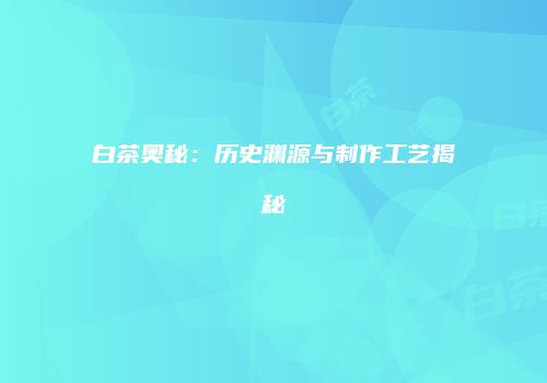 白茶奥秘：历史渊源与制作工艺揭秘