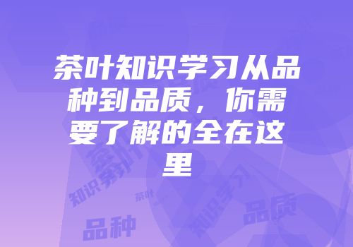 茶叶知识学习从品种到品质，你需要了解的全在这里