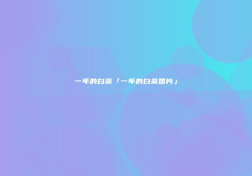 一年的白茶「一年的白茶图片」