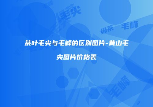 茶叶毛尖与毛峰的区别图片-黄山毛尖图片价格表