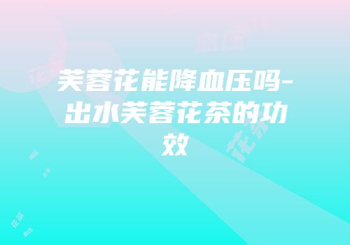 芙蓉花能降血压吗-出水芙蓉花茶的功效