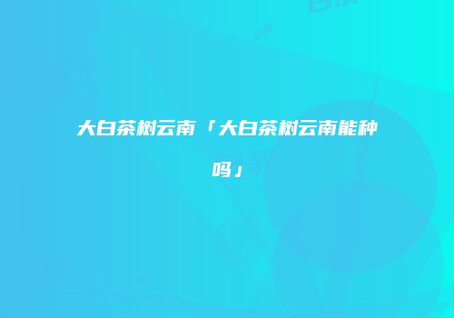 大白茶树云南「大白茶树云南能种吗」