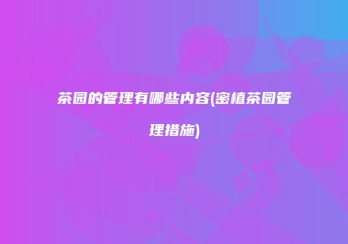 茶园的管理有哪些内容(密植茶园管理措施)