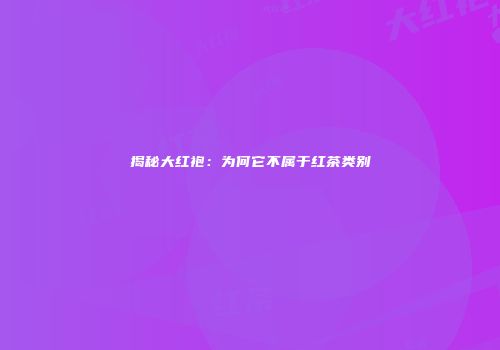 揭秘大红袍：为何它不属于红茶类别