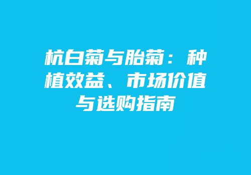 杭白菊与胎菊：种植效益、市场价值与选购指南