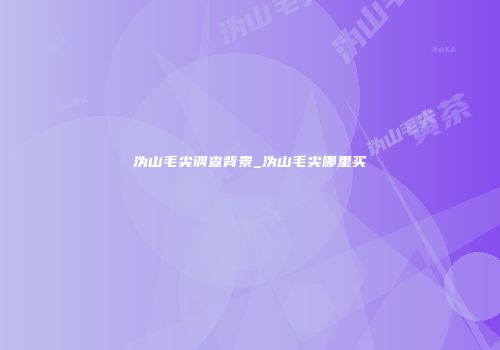 沩山毛尖调查背景_沩山毛尖哪里买