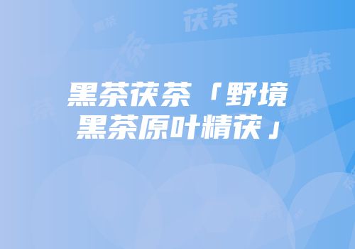 黑茶茯茶「野境黑茶原叶精茯」