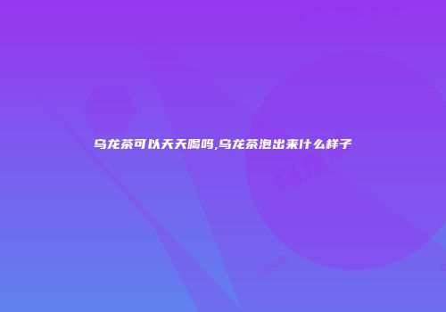 乌龙茶可以天天喝吗,乌龙茶泡出来什么样子