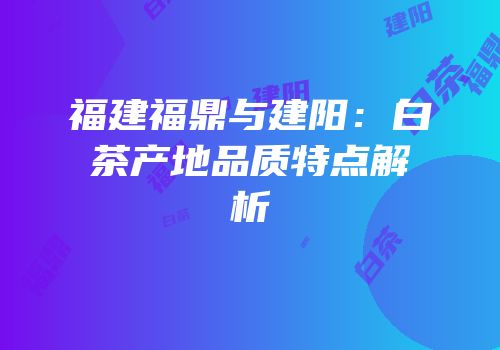福建福鼎与建阳：白茶产地品质特点解析