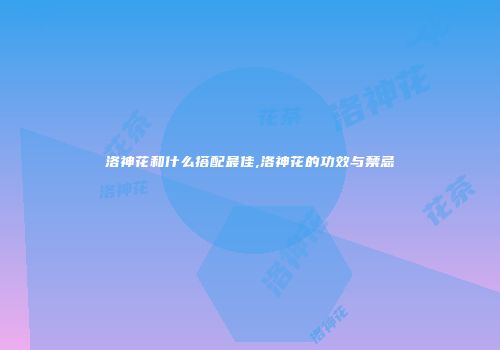 洛神花和什么搭配最佳,洛神花的功效与禁忌