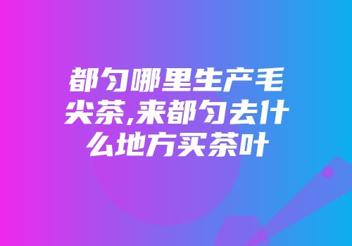 都匀哪里生产毛尖茶,来都匀去什么地方买茶叶