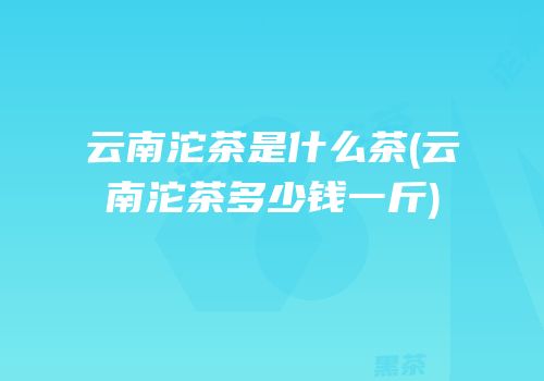 云南沱茶是什么茶(云南沱茶多少钱一斤)