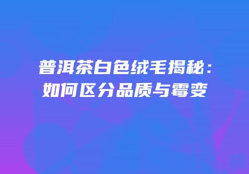 普洱茶白色绒毛揭秘：如何区分品质与霉变