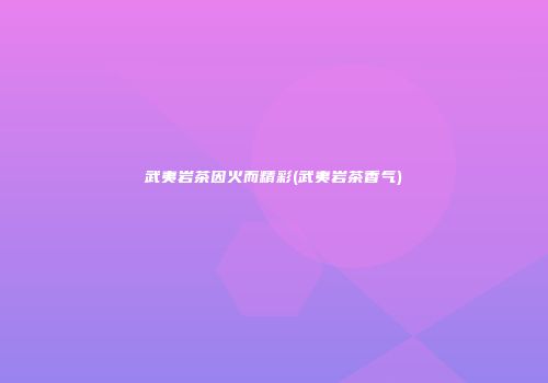 武夷岩茶因火而精彩(武夷岩茶香气)