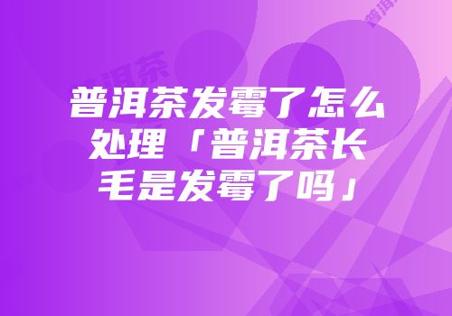 普洱茶发霉了怎么处理「普洱茶长毛是发霉了吗」