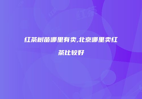 红茶树苗哪里有卖,北京哪里卖红茶比较好