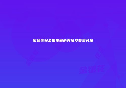 蜜蜂采到金银花蜜的方法及效果分析