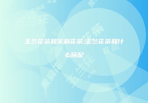 玉兰花茶和茉莉花茶,玉兰花茶和什么搭配