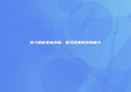 深入解析老枞水仙：探寻武夷岩茶的魅力
