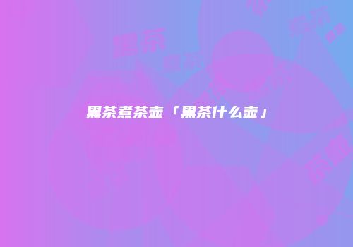 黑茶煮茶壶「黑茶什么壶」