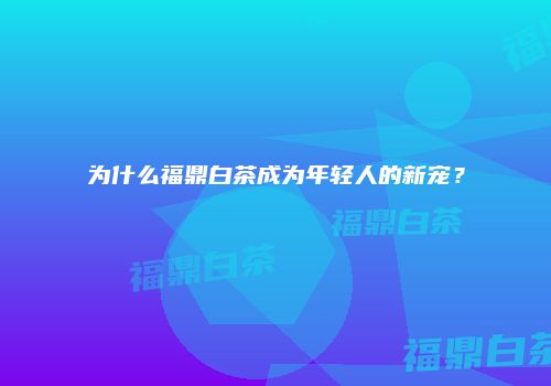 为什么福鼎白茶成为年轻人的新宠？