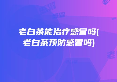 老白茶能治疗感冒吗(老白茶预防感冒吗)