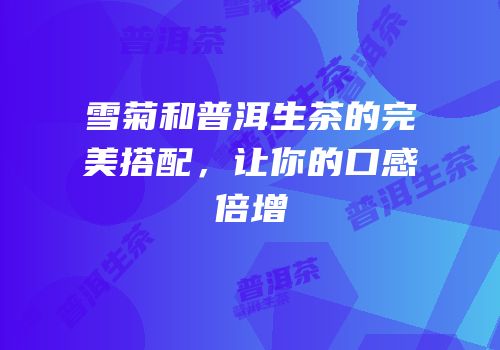 雪菊和普洱生茶的完美搭配，让你的口感倍增