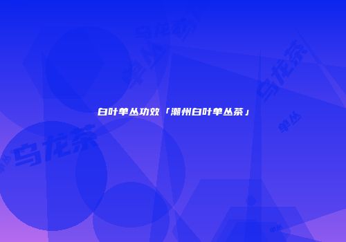 白叶单丛功效「潮州白叶单丛茶」