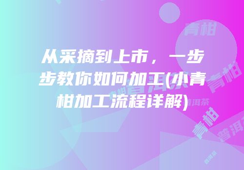 从采摘到上市，一步步教你如何加工(小青柑加工流程详解)
