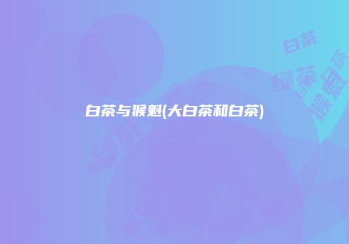 白茶与猴魁(大白茶和白茶)