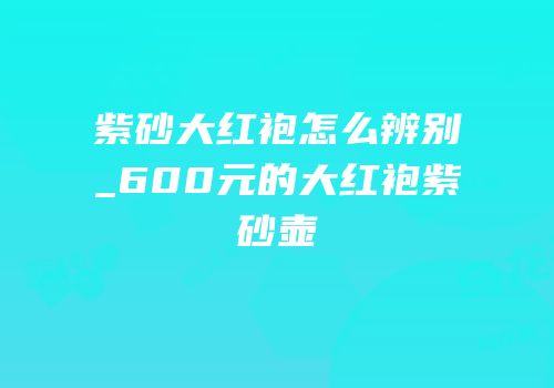 紫砂大红袍怎么辨别_600元的大红袍紫砂壶