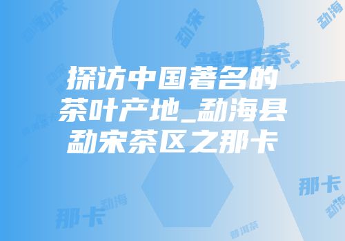 探访中国著名的茶叶产地_勐海县勐宋茶区之那卡