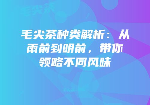 毛尖茶种类解析：从雨前到明前，带你领略不同风味