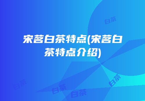 宋茗白茶特点(宋茗白茶特点介绍)