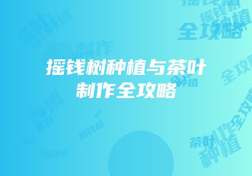 摇钱树种植与茶叶制作全攻略