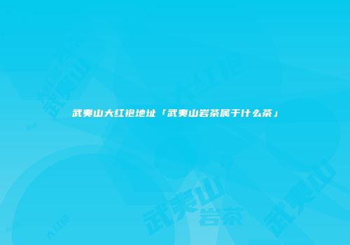 武夷山大红袍地址「武夷山岩茶属于什么茶」