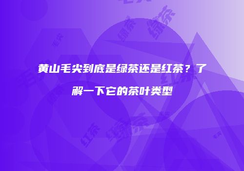 黄山毛尖到底是绿茶还是红茶？了解一下它的茶叶类型