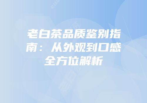 老白茶品质鉴别指南：从外观到口感全方位解析