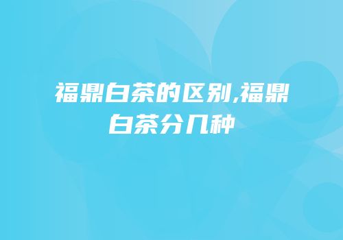 福鼎白茶的区别,福鼎白茶分几种