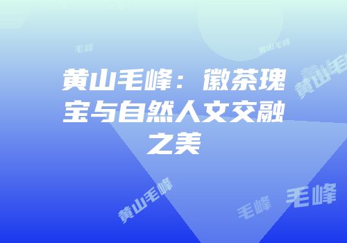 黄山毛峰：徽茶瑰宝与自然人文交融之美