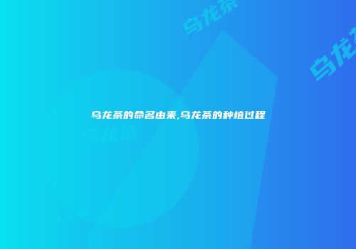 乌龙茶的命名由来,乌龙茶的种植过程