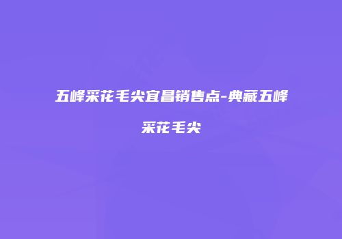 五峰采花毛尖宜昌销售点-典藏五峰采花毛尖