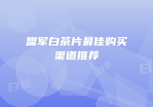 盟军白茶片最佳购买渠道推荐
