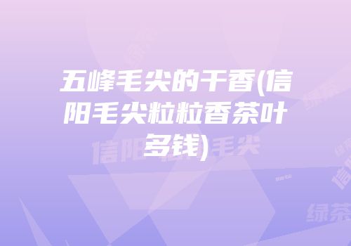 五峰毛尖的干香(信阳毛尖粒粒香茶叶多钱)