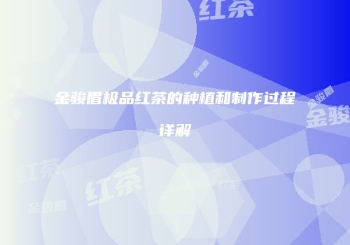 金骏眉极品红茶的种植和制作过程详解