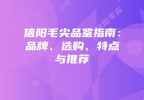信阳毛尖品鉴指南：品牌、选购、特点与推荐