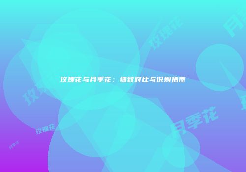 玫瑰花与月季花：细致对比与识别指南